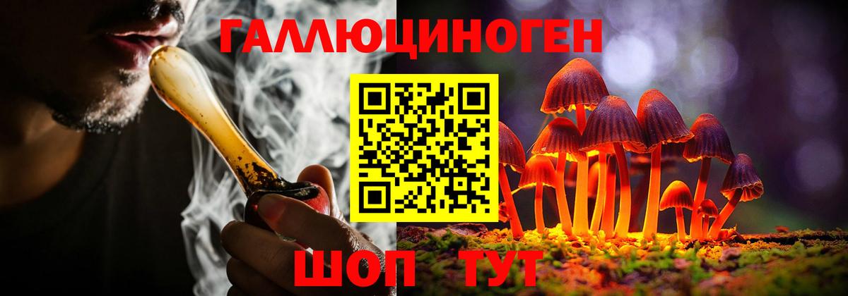 Псилоцибиновые грибы мицелий Заводоуковск